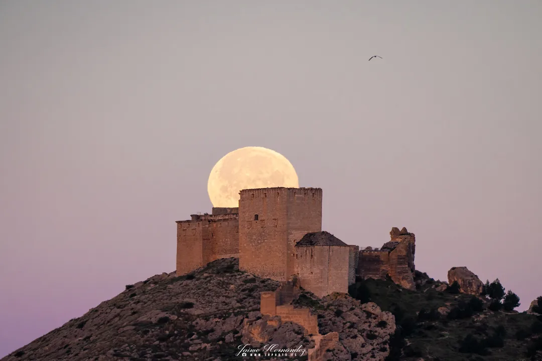Castillo de Mula · Murcia